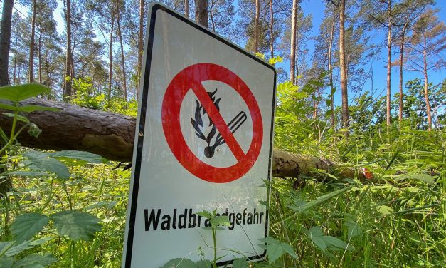 Waldbrandgefahr Stufe 4